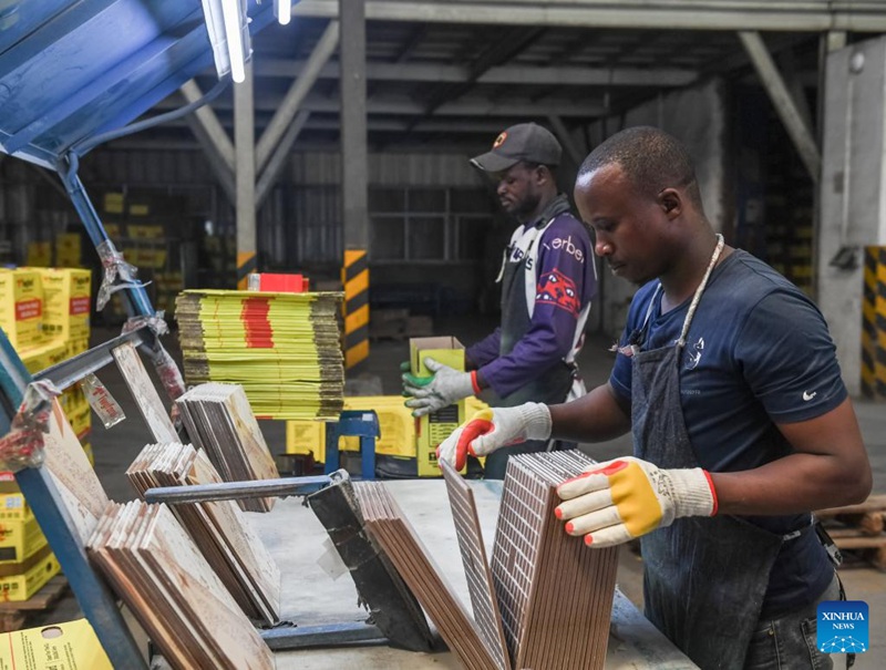 Kampuni ya kauri ya China yawezesha ujenzi wa makazi ya bei nafuu nchini Kenya