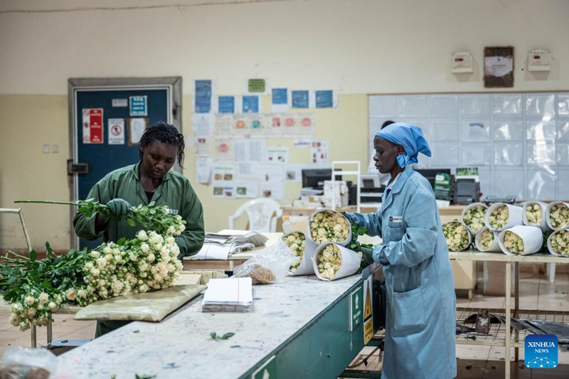 Kampuni ya maua ya Kenya yajaa matumaini kwa Maonesho ya Uagizaji Bidhaa ya China huku soko la China likivutia